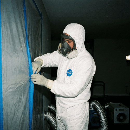 Mold Removal and Remediation Service Mold Removal and Remediation Service